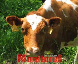 Din presa de altadata