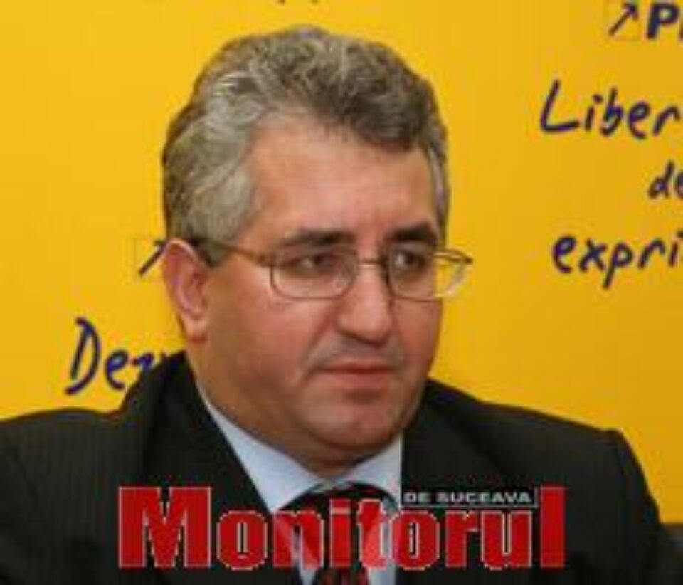 Liberalii suceveni țintesc 15% la europarlamentare