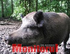 Din presa de altadata