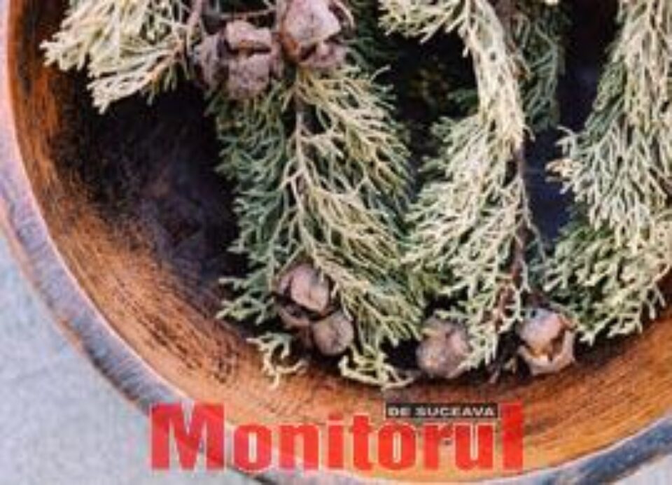 Ienupărul, un depurativ de excepție