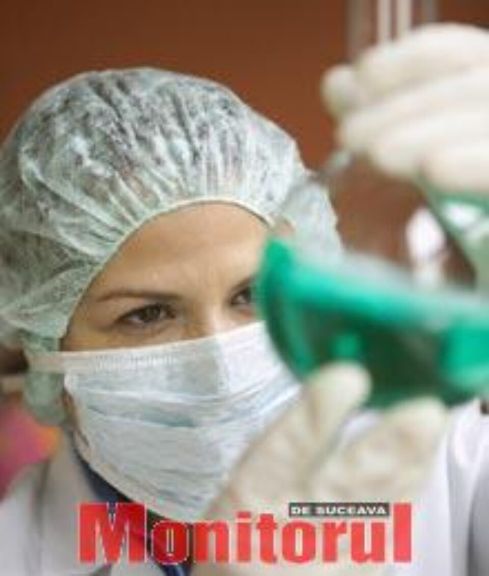 Celulele sușă embrionare pot repara inima