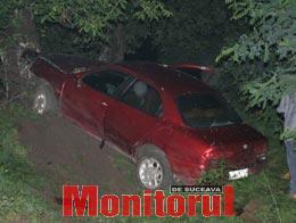 Pelerinajul s-a terminat brusc, într-un copac de pe marginea drumului