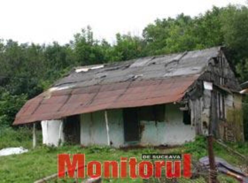 Vasile Bergheaua (71 de ani) a fost găsit în curtea casei sale cu capul făcut zob