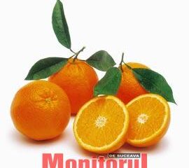 Infuzia de frunze de portocal combate apatia