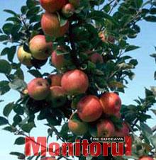 Din presa de altadata