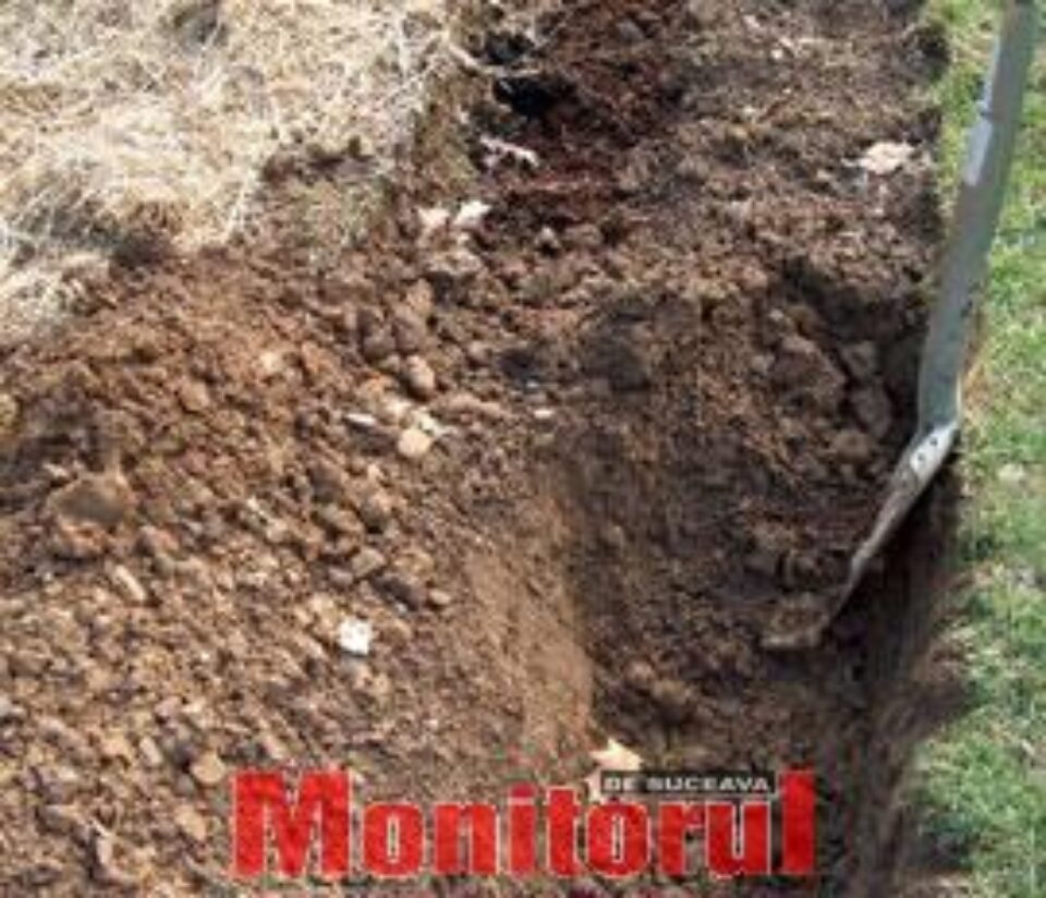 Din presa de altadata