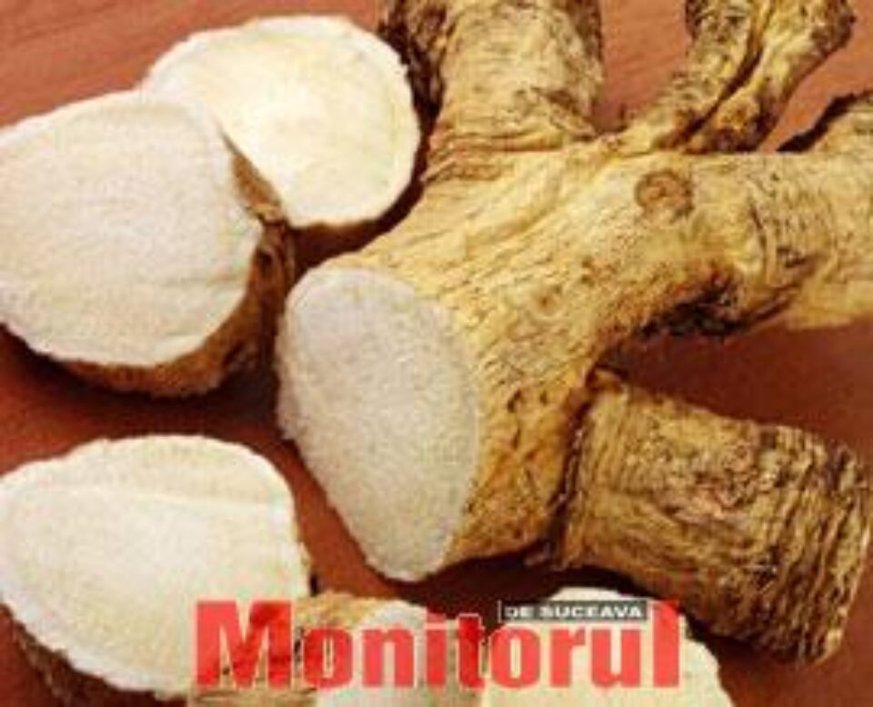 Hreanul, recomandat în bronșită