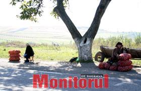 Depozit de cartofi pe E 85