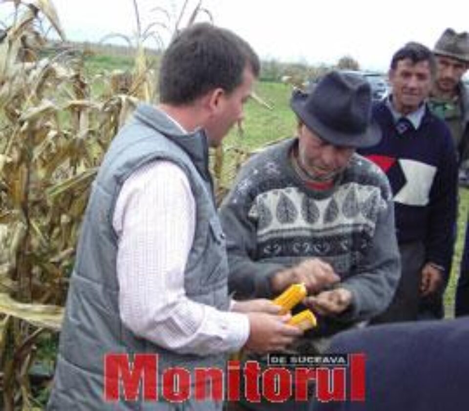 Ţăranii, greu de convins să aplice tehnologia modernă Ţăranii, greu de convins să aplice tehnologia modernă