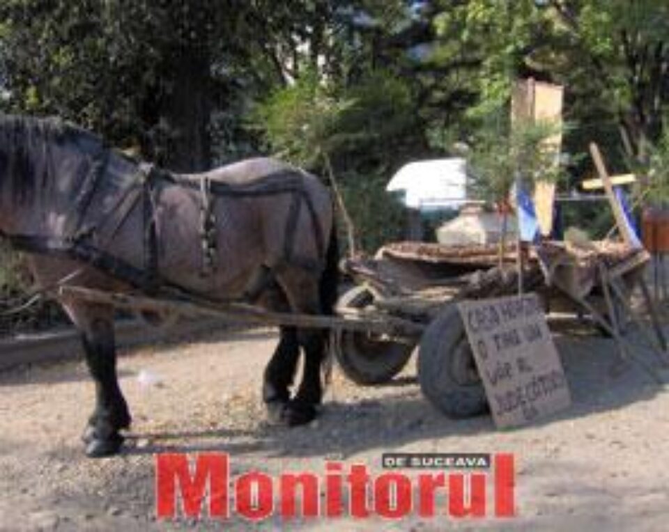 Protestatarii se duc cu oala cu sarmale de prohod la Parchetul Suceava