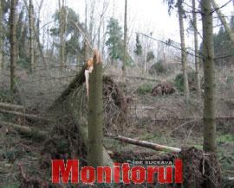 Din presa de altadata