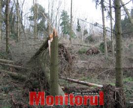 Din presa de altadata