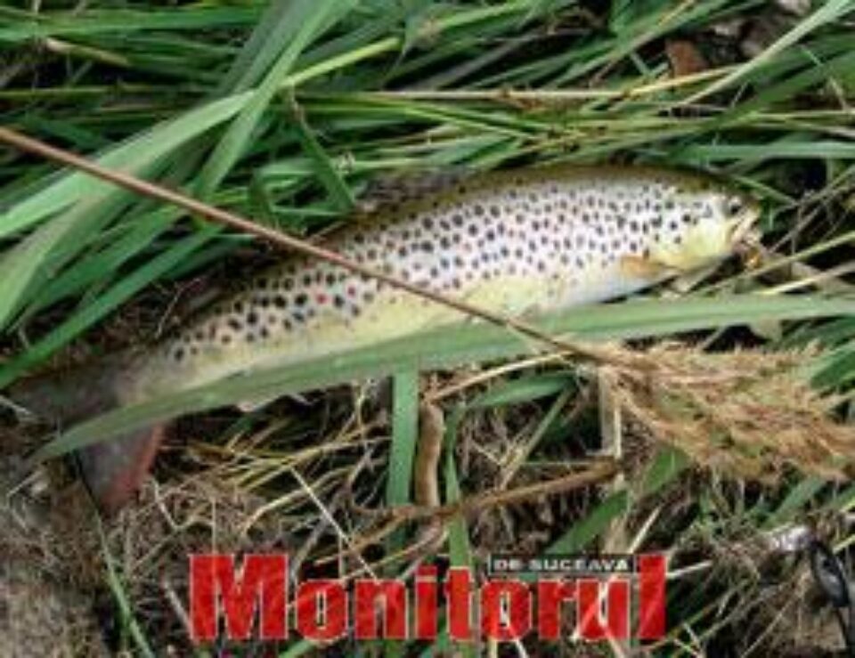 Din presa de altadata