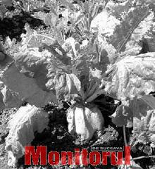 Din presa de altadata