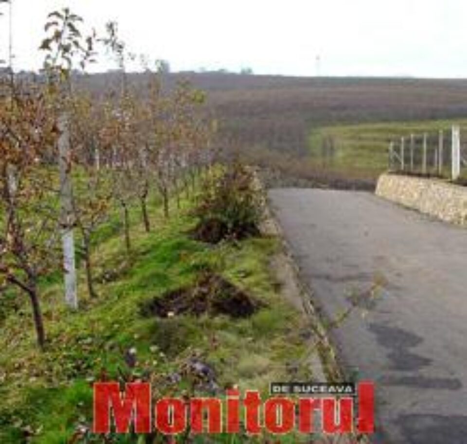 Pomicultorii din județ, pregătiți să dea lovitura pe piața mărului