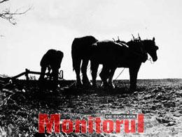 Din presa de altadata