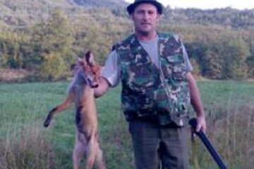 Vulpile din județ, împușcate pe capete de frica rabiei