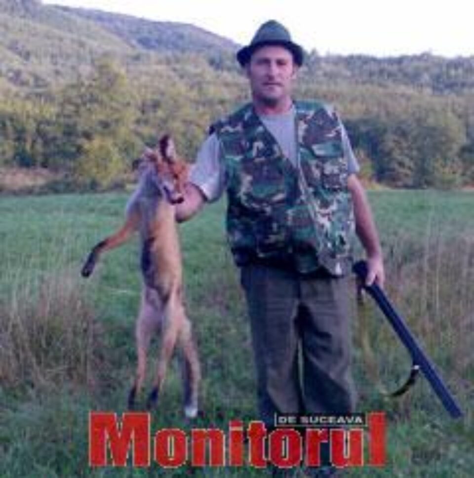 Vulpile din județ, împușcate pe capete de frica rabiei
