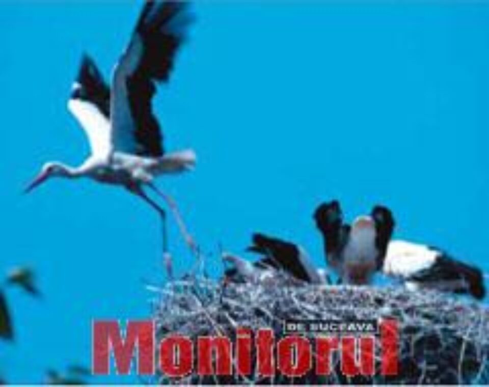 Din presa de altadata