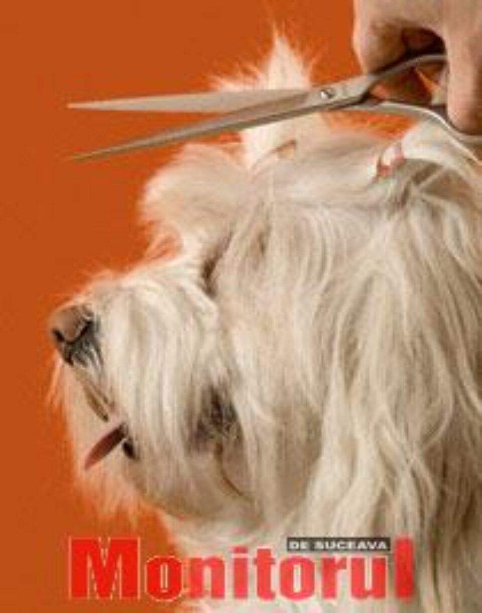 Câinii și pisicile sucevenilor, la răsfăț cu tratamente cosmetice Câinii și pisicile sucevenilor, la răsfăț cu tratamente cosmetice