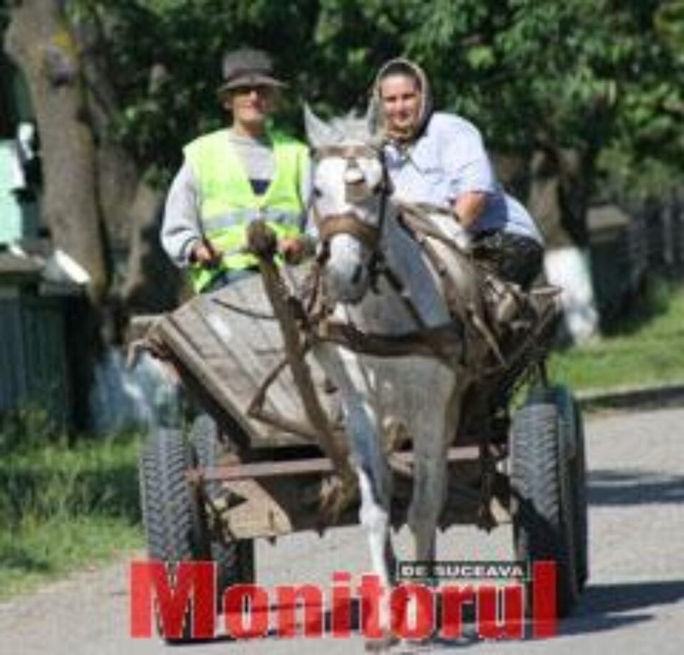 Fermierii din județ, verificați Fermierii din județ, verificați