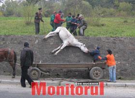 A fost salvat în ultima clipă