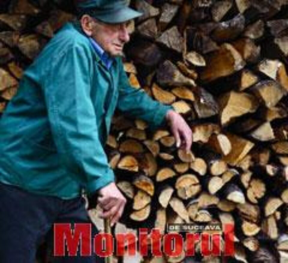 Aproape 1.000 de suceveni vor primi subvenții pentru lemne de foc Aproape 1.000 de suceveni vor primi subvenții pentru lemne de foc