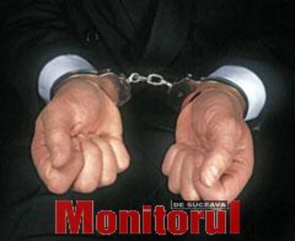 Dacă tot îi plăceau bijuteriile, a primit un set de „brăţări” Dacă tot îi plăceau bijuteriile, a primit un set de „brăţări”