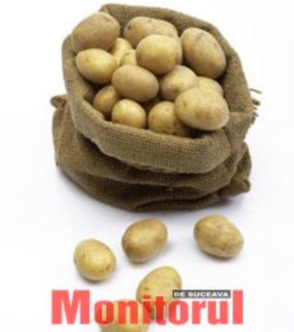 Producătorii de cartofi, puși la zid de intermediari Producătorii de cartofi, puși la zid de intermediari