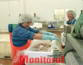 Dacă guvernele comunitare micşorează impozitele, ar putea fi create legal mai multe locuri de muncă