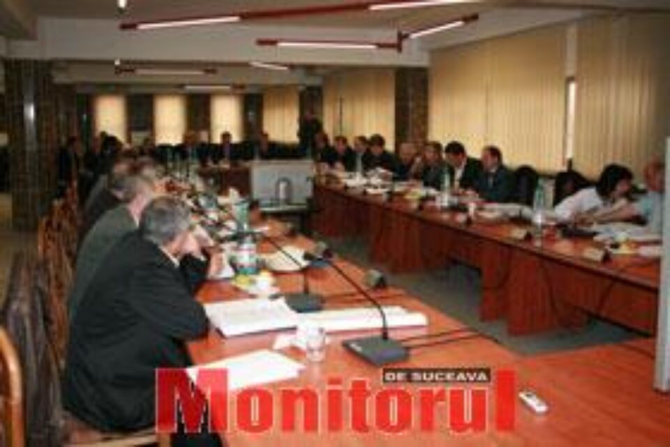 Aleşii noştri, de carton