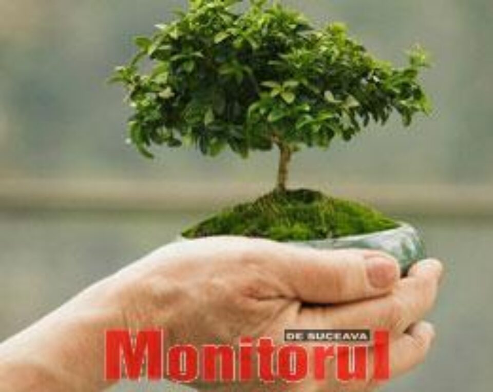 Iubirea vrăjmașilor (II)