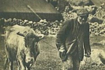 Din presa de altadata