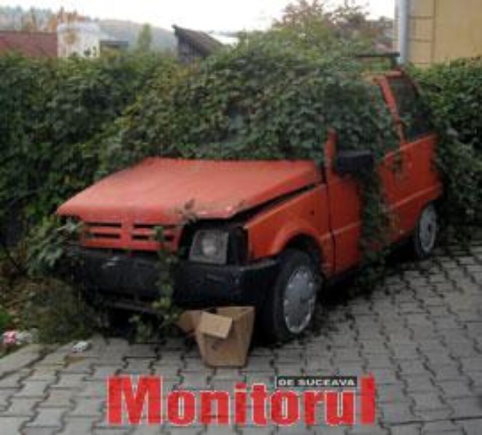 Lăstunul vegetal Lăstunul vegetal