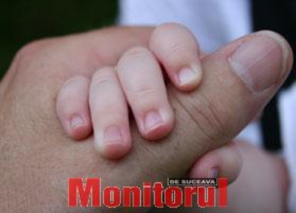 Forța mâinilor (I)