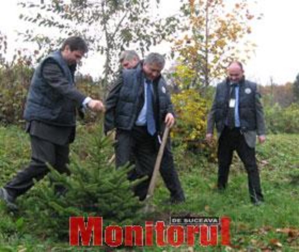 Plantarea primului copac din Campania Blue Motion