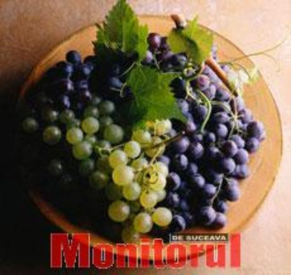 Avantajele consumului de struguri Avantajele consumului de struguri