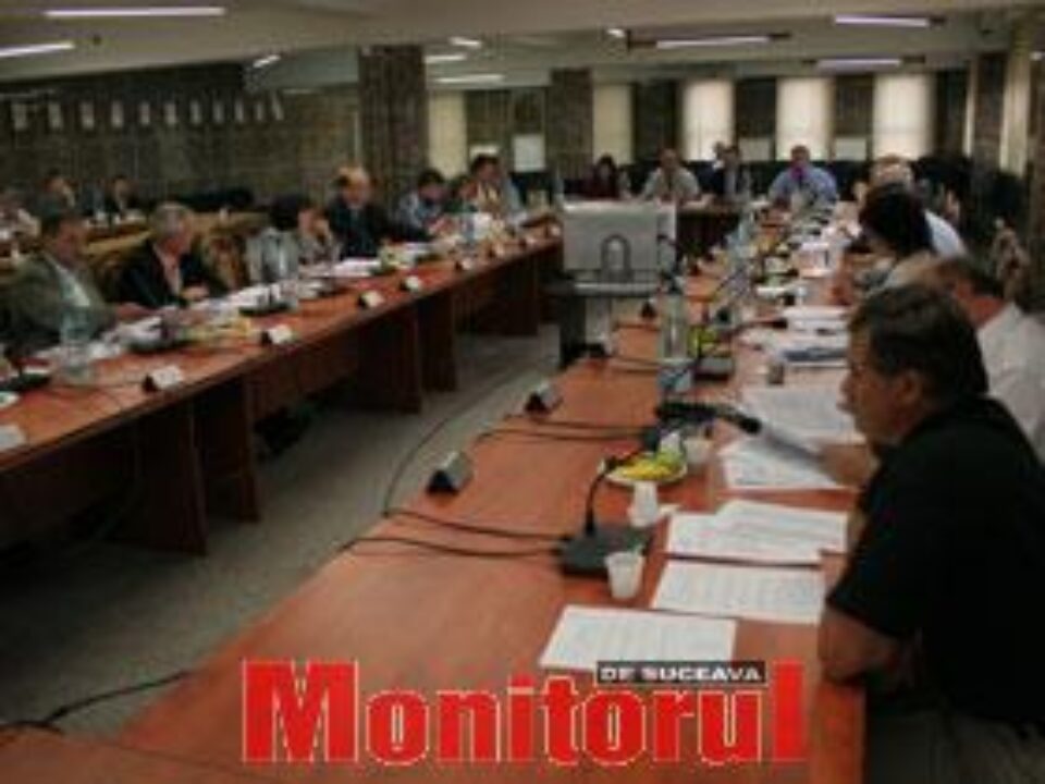 Motivaţii pentru absenţe există, dar cine mai susţine atunci interesele celor care i-au votat? Motivaţii pentru absenţe există, dar cine mai susţine atunci interesele celor care i-au votat?