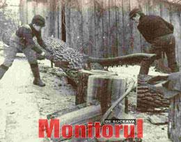 Din presa de altadata