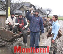 Țiganii, muzica și glodul de la Mironu