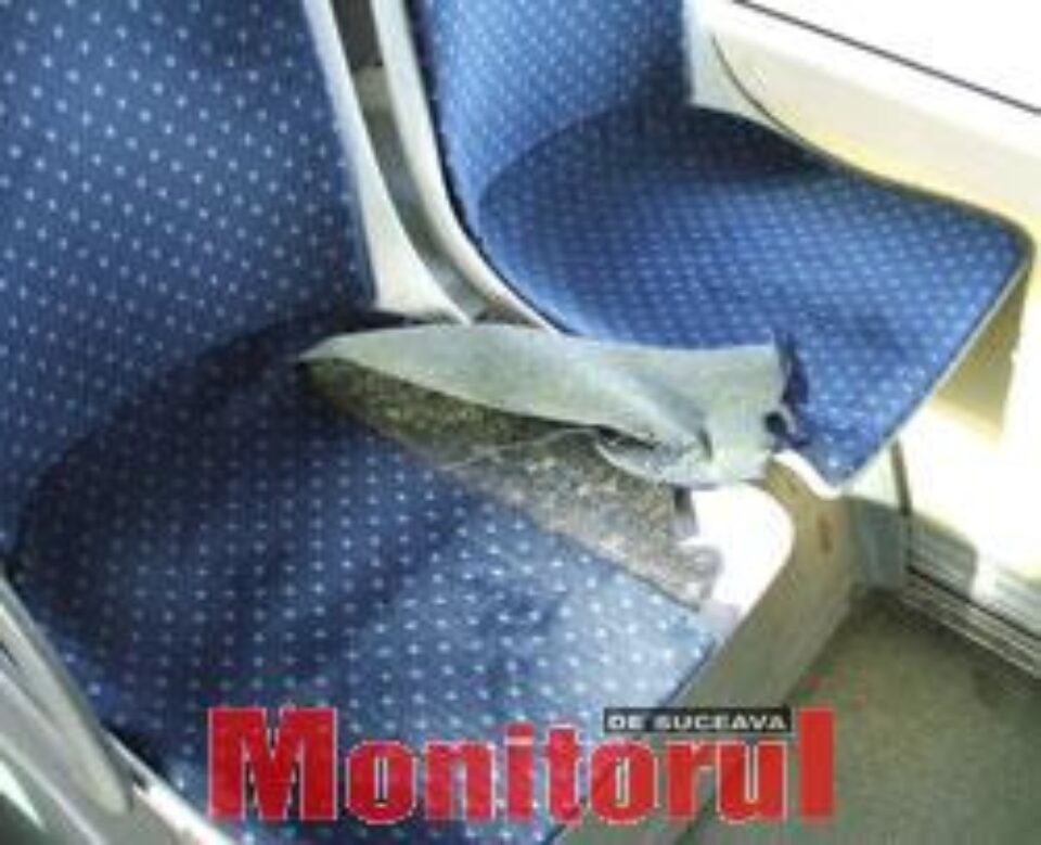 În autobuze, distrugeri intenţionate În autobuze, distrugeri intenţionate