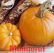 Decor de sezon: dovleci, Kalanchoe și felinare