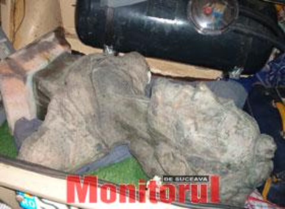 Bustul lui Mihai Eminescu în portbagaj Bustul lui Mihai Eminescu în portbagaj