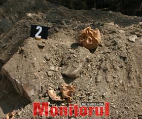 Descoperire macabră la Vadu Moldovei: mai multe fragmente de oase umane