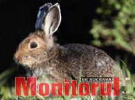 Din presa de altadata