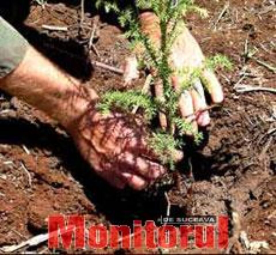 Din presa de altadata