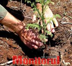 Din presa de altadata