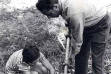 Din presa de altadata