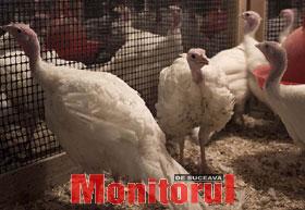 Din presa de altadata