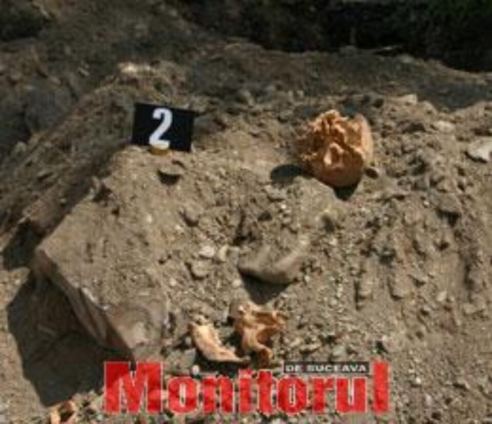 Osemintele umane urmează să fie reînhumate Osemintele umane urmează să fie reînhumate